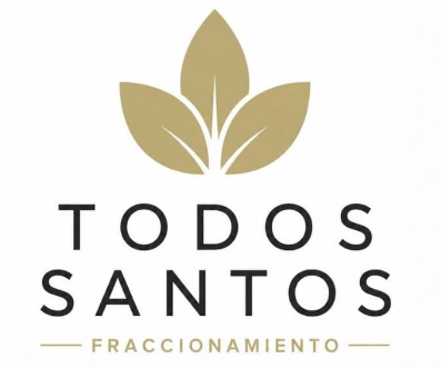 Todos Santos Fraccionamiento